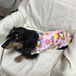 ミニチュアダックス6 8キロ 輸入生地 ヒスミニ メルロコ 犬服の通販 By ミニチュアダックス メルロコ一家の横須賀ストーリー ラクマ ミニチュアダックス6 8キロ 輸入生地 ヒスミニ メルロコ 犬服の通販 By ミニチュアダックス メルロコ一家の横須賀ストーリー ラクマ