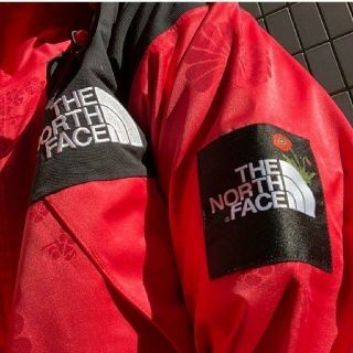 ザノースフェイス(THE NORTH FACE)のL【日本未発売】 mountain jacket ノースフェイス(その他)