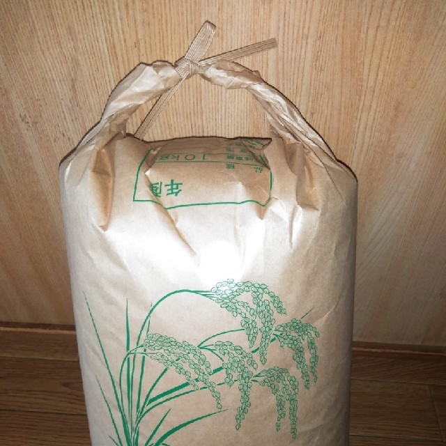 大地の風　新米　玄米　米/穀物　無農薬　20キロ