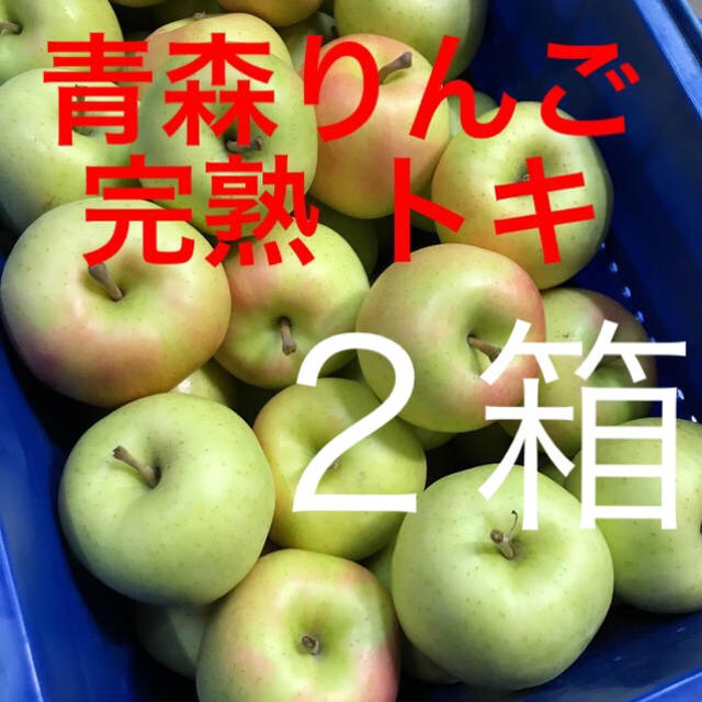 断然お買い得！完熟 りんご 青森県産 トキ ５㎏２箱