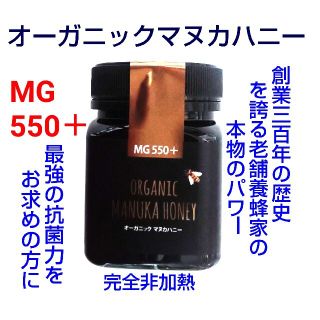 最高の抗菌力⭐️オーガニックマヌカハニーＭＧ550＋(その他)