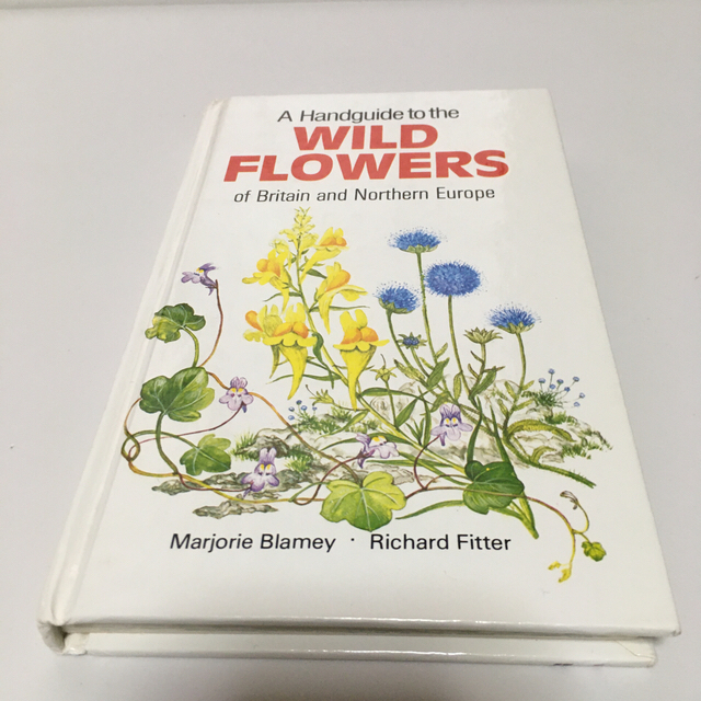 洋書 花の図鑑 ワイルドフラワーの通販 By Sareee S Shop ラクマ 洋書 花の図鑑 ワイルドフラワーの通販 By Sareee S Shop ラクマ