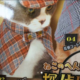 ねこのへんしんコスチューム 探偵にゃんこ(猫)