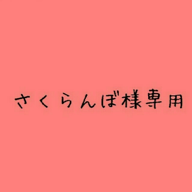 さくらんぼ様 専用 【取り置き 12/23 23:59迄】 その他のその他(その他)の商品写真