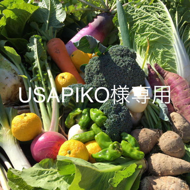 野菜BOX  Mサイズ  USAPIKO様専用 食品/飲料/酒の食品(野菜)の商品写真