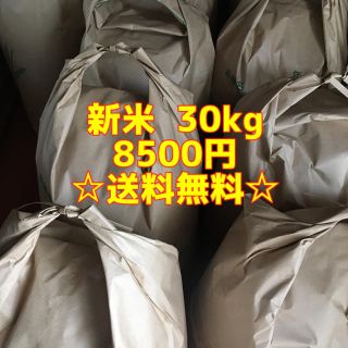 新米30キロ(米/穀物)