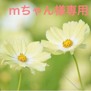 mちゃん様専用(カラージェル)