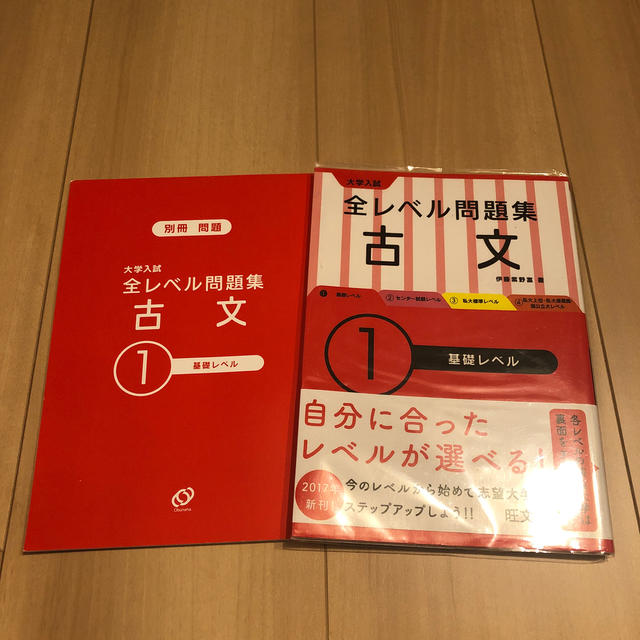 旺文社(オウブンシャ)の大学入試 全レベル問題集 古文 1基礎レベル エンタメ/ホビーの本(語学/参考書)の商品写真