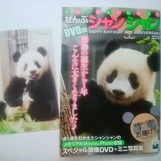 シャンシャンDVD+ミニ写真集 1歳バースデー記念カード付き♪ パンダ(趣味/実用)