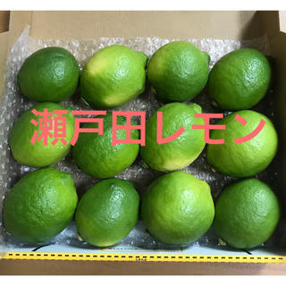 瀬戸田レモン　特別栽培レモン　国産レモン(フルーツ)
