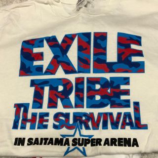 エグザイル トライブ(EXILE TRIBE)のEXILETRIBE(ミュージシャン)