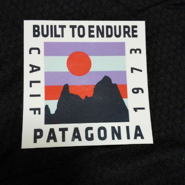 patagonia(パタゴニア)のパタゴニア ギフトバック レディースのバッグ(ショップ袋)の商品写真