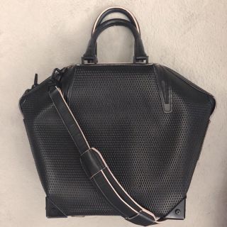 アレキサンダーワン(Alexander Wang)のAlexander Wang Emile(ショルダーバッグ)