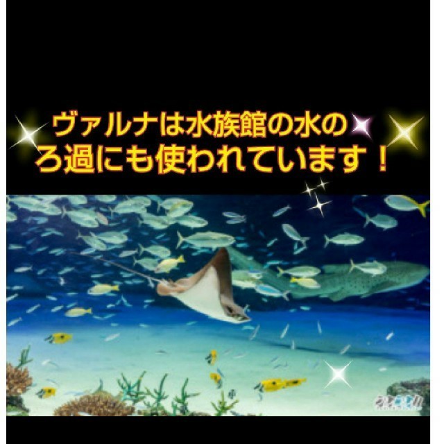 憧れの ヴァルナ 池に投げ込むだけでトン浄化します 透明度アップに