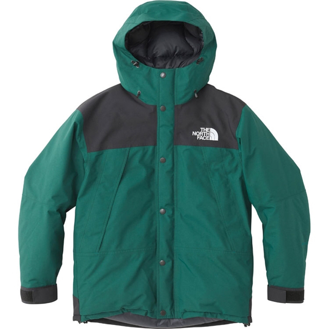 THE NORTH FACE - 定価以下 MOUNTAIN DOWN JACKET NORTH FACE BD