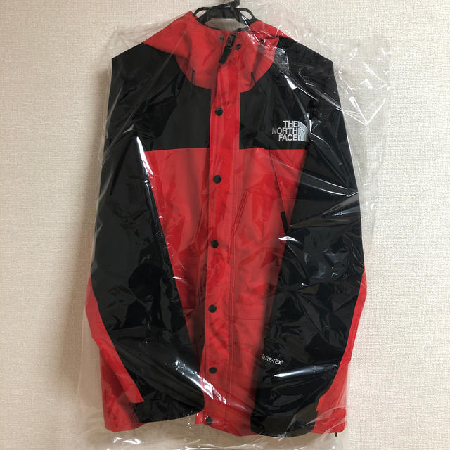 THE NORTH FACE(ザノースフェイス)のTHE NORTH FACE MOUNTAIN LIGHT JACKET メンズのジャケット/アウター(その他)の商品写真