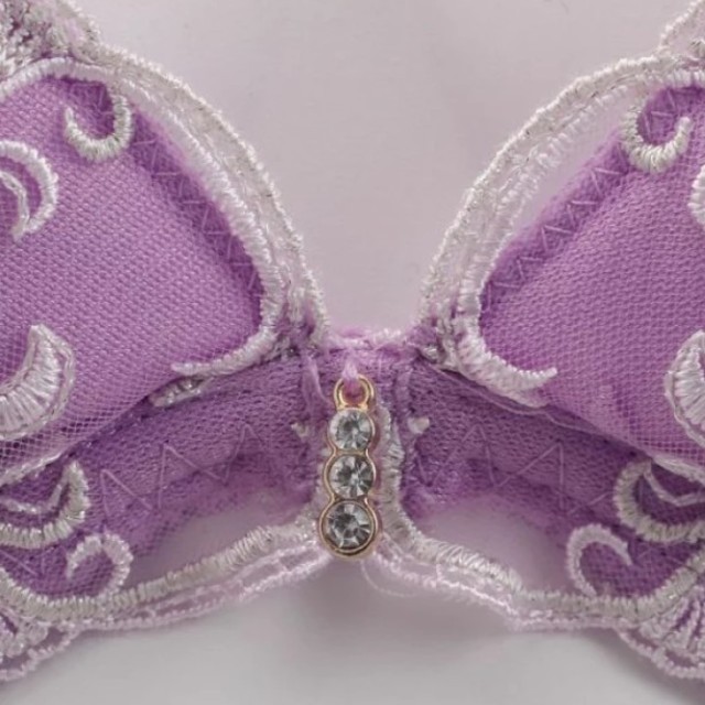 新品！EFありラメ輝く蔦刺繍ブラジャーショーツセット レディースの下着/アンダーウェア(ブラ&ショーツセット)の商品写真