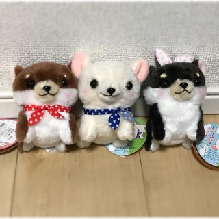 むちむチワワ　3点セット　ぬいぐるみ(ぬいぐるみ)