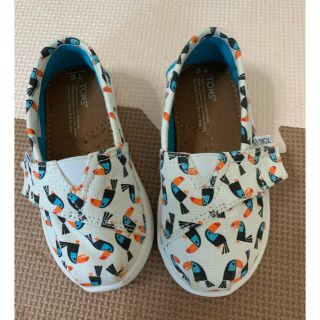 トムズ(TOMS)のTOMS スニーカー　キャンバススリッポン　T6 13センチ(スリッポン)