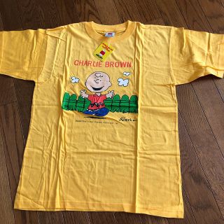 スヌーピー(SNOOPY)の⭐️スワスティカ様専用⭐️チャーリーブラウン　半袖Tシャツ(Tシャツ(半袖/袖なし))