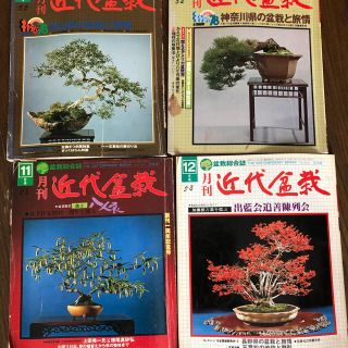 1978年の近代盆栽　12冊(趣味/スポーツ/実用)