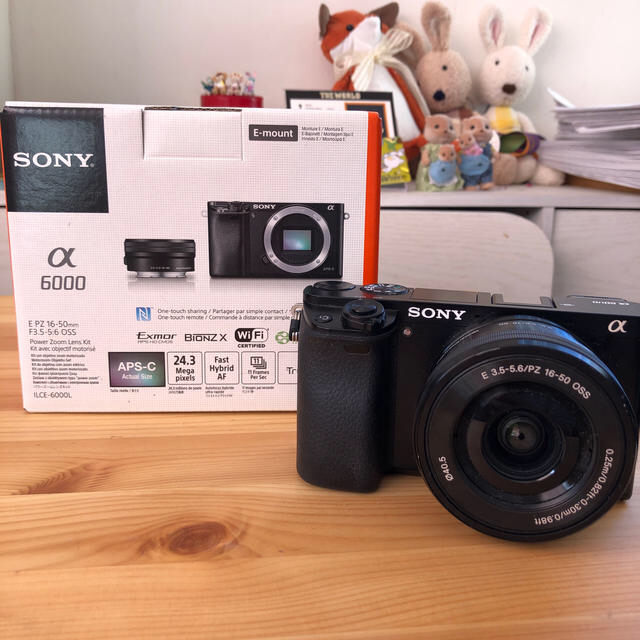 SONY α6000