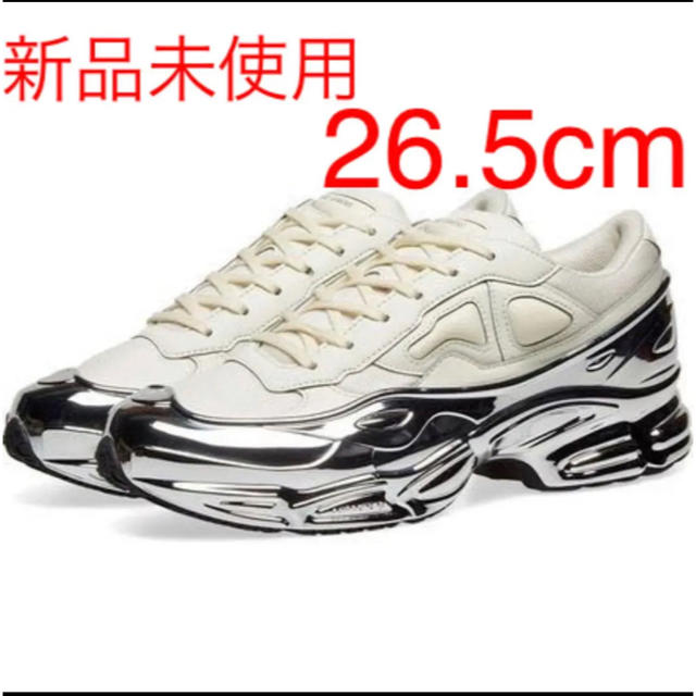 RAF SIMONS(ラフシモンズ)のAdidas by Raf simons OZWEEGO メタリック シルバー メンズの靴/シューズ(スニーカー)の商品写真