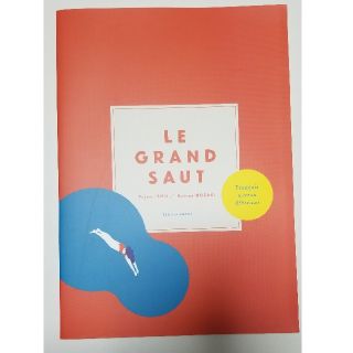 フランス語にダイヴ！le grand saut (語学/参考書)