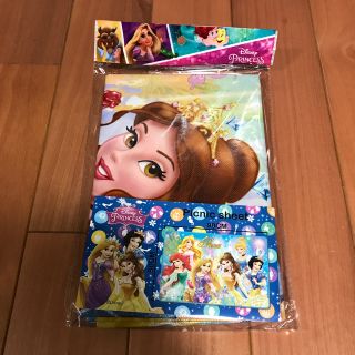 ディズニー(Disney)のプリンセス　レジャーシート  ブルー(キャラクターグッズ)