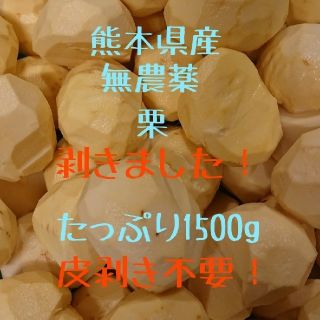 【即購入ＯＫ】熊本県産 むき栗 1500g☆無農薬・有機栽培★(フルーツ)