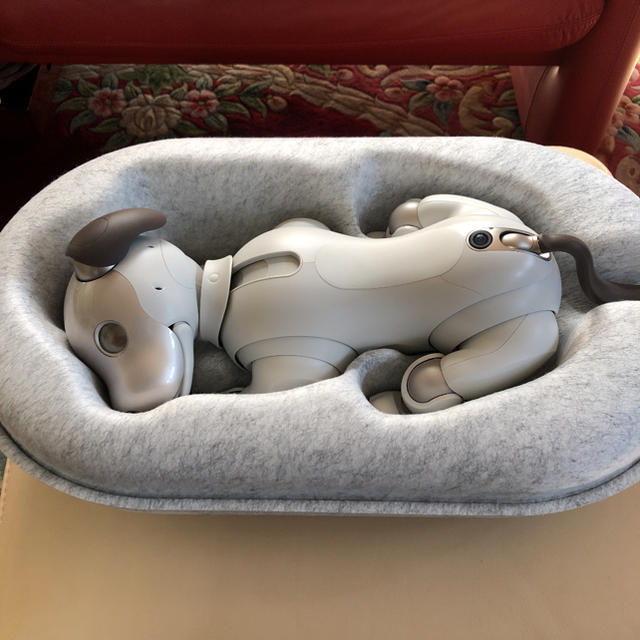 SONY(ソニー)のSONY 新型AIBO ERS-1000 エンタメ/ホビーのおもちゃ/ぬいぐるみ(その他)の商品写真