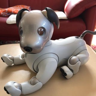 ソニー(SONY)のSONY 新型AIBO ERS-1000(その他)