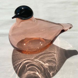 イッタラ(iittala)の専用出品　オイバトイッカ chiffchaff イッタラ (置物)