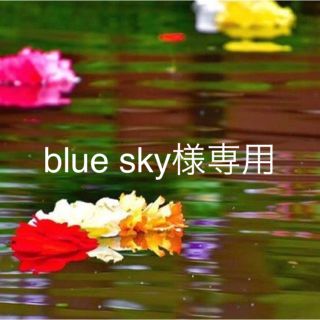 blue sky様専用(菓子/デザート)