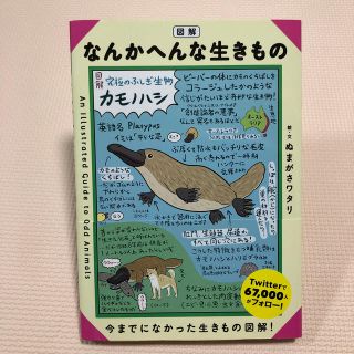 図解　なんかへんな生きもの(絵本/児童書)