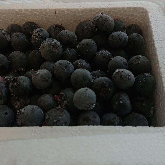 冷凍ブルーベリー２キロ 食品/飲料/酒の食品(フルーツ)の商品写真