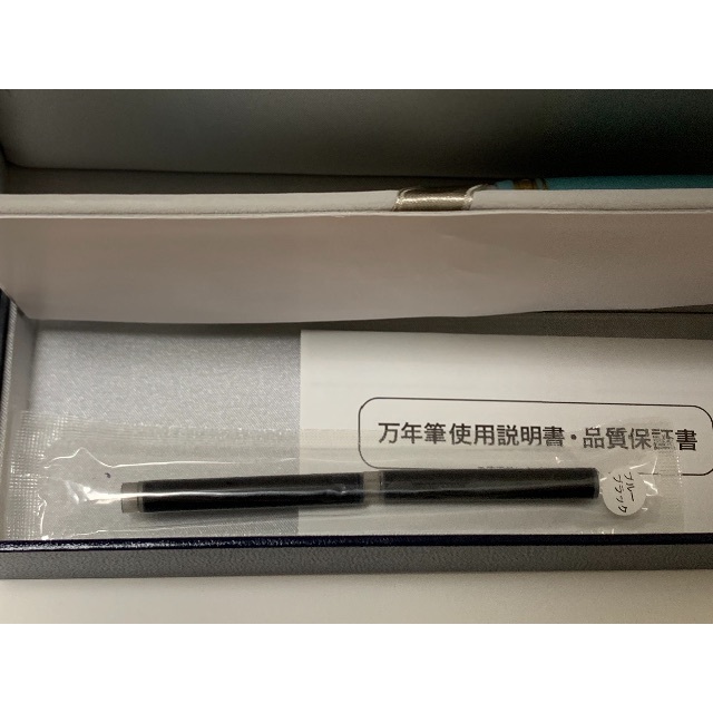 SAILOR - TIPS限定マジックオブアリスセーラー万年筆MSニブ SAILOR - TIPS限定マジックオブアリスセーラー万年筆MSニブの