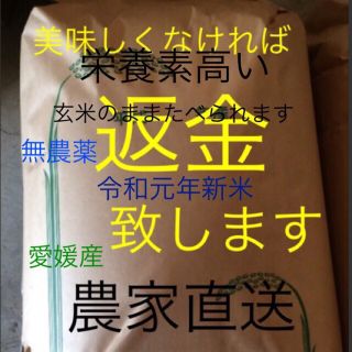 みさぷ様専用　新米こしひかり30㎏ 玄米(米/穀物)