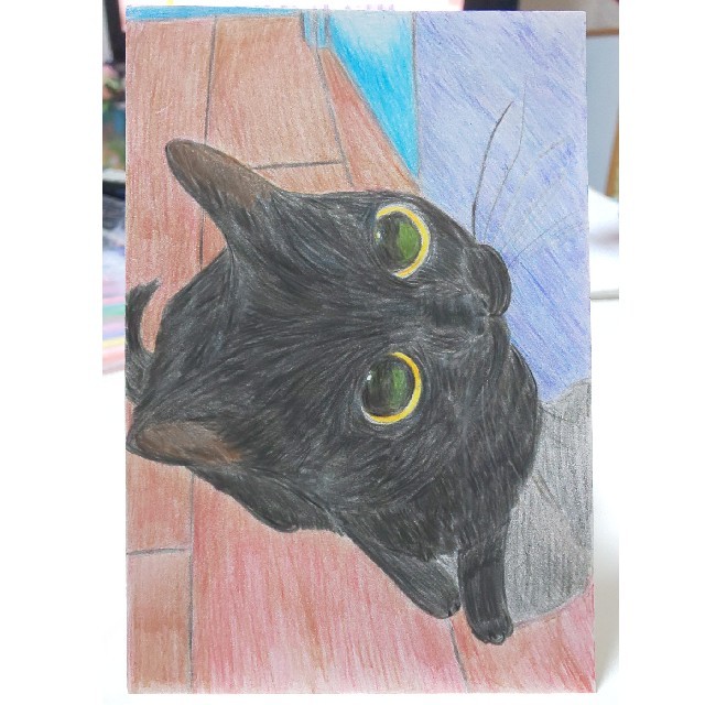 黒猫 イラスト ハガキサイズ