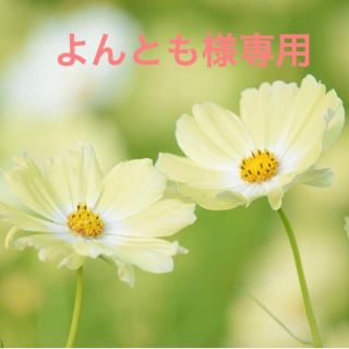 よんとも様専用(カラージェル)