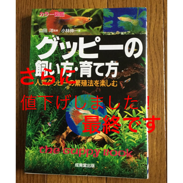 グッピーの飼い方 育て方の通販 By Boxy S Shop ラクマ