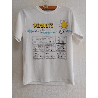 アースミュージックアンドエコロジー(earth music & ecology)のスヌーピー Tシャツ Sサイズ(Tシャツ/カットソー(半袖/袖なし))