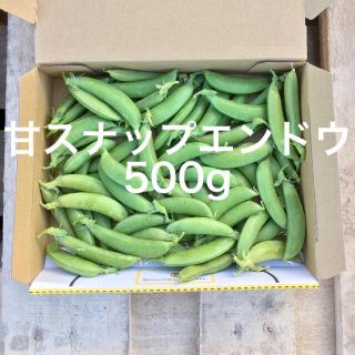 鹿児島産甘スナップエンドウ500g^_^(野菜)