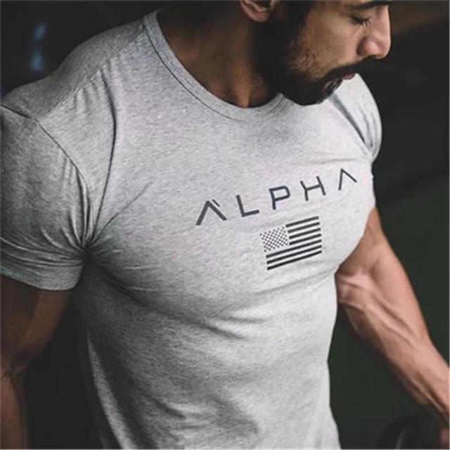 ALPHA  Tシャツ　グレー メンズのトップス(Tシャツ/カットソー(半袖/袖なし))の商品写真