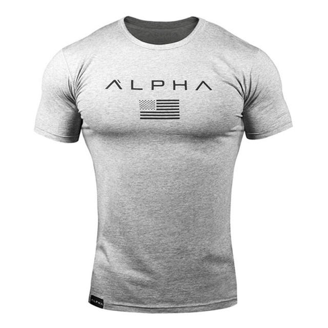 ALPHA  Tシャツ　グレー メンズのトップス(Tシャツ/カットソー(半袖/袖なし))の商品写真