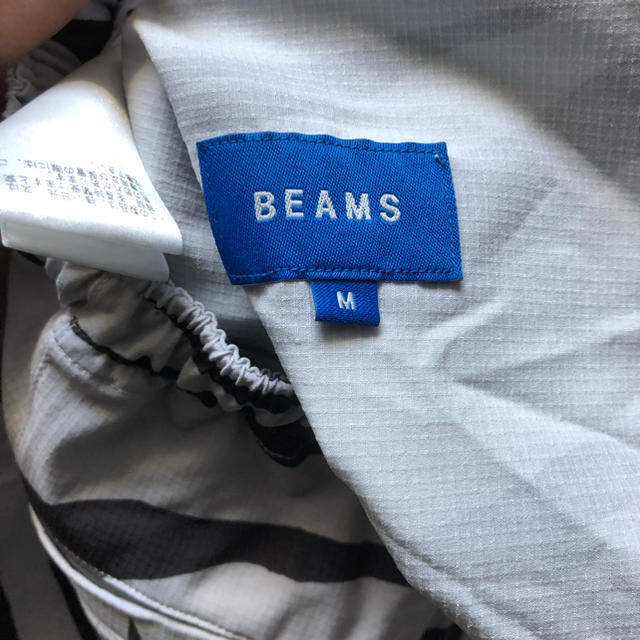 BEAMS ビームス  ゼブラ　セットアップ　上L下M 3