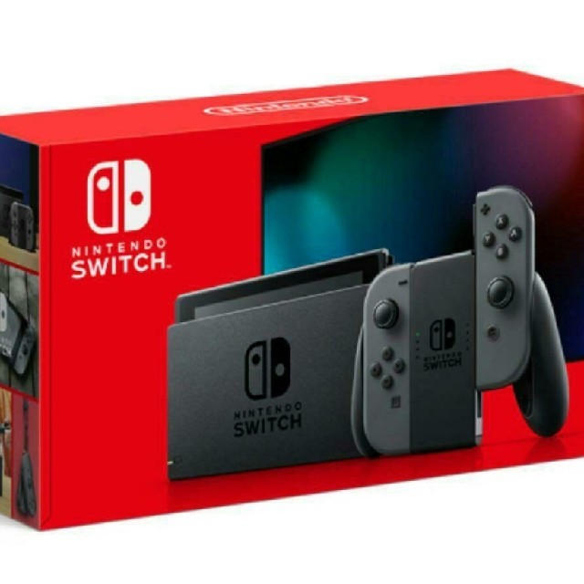 Nintendo Switch グレー 2点セット 新品未使用