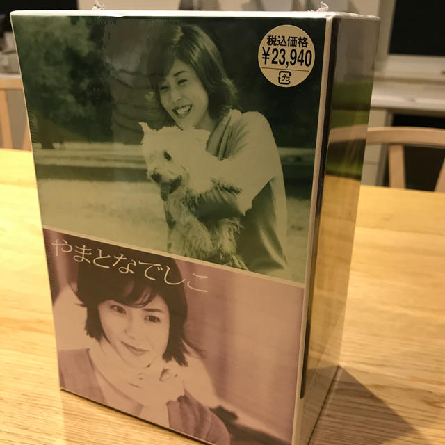 やまとなでしこ DVD-BOX