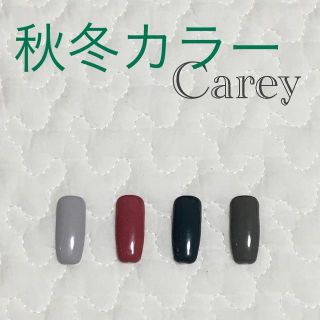 【カラー変更可】秋冬カラーB カラージェル(カラージェル)
