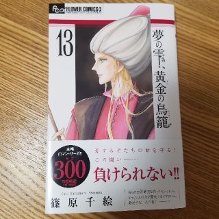 夢の雫、黄金(きん)の鳥籠 13(少女漫画)